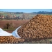 Agrowłóknina na pryzmy buraków P-110 6,35x25 biała